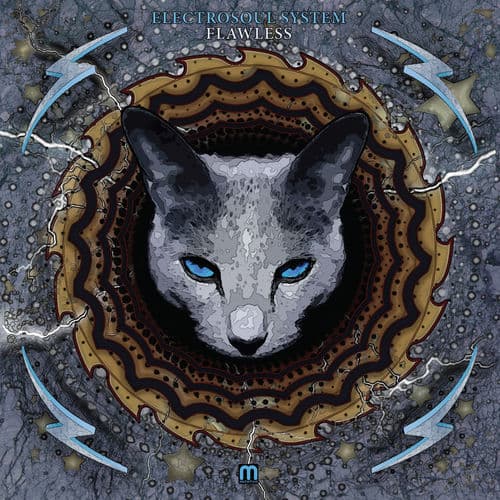 Electrosoul System