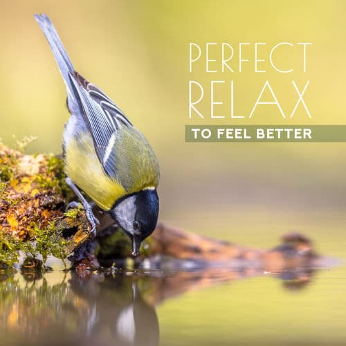 Awesome Nature Sounds Ensemble