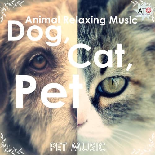 Pet Music