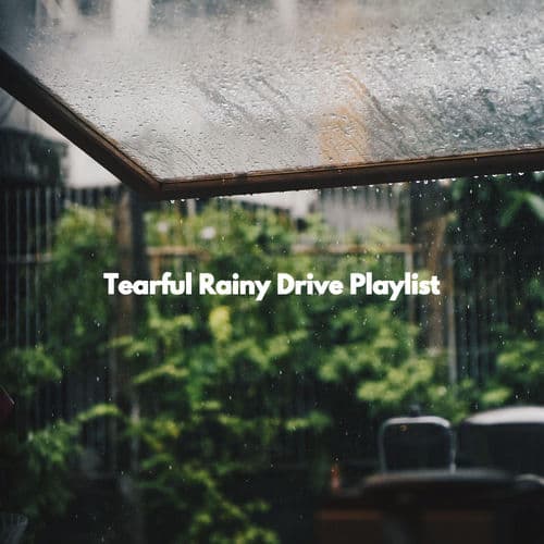 Tearful Rainy Drive Playlist
