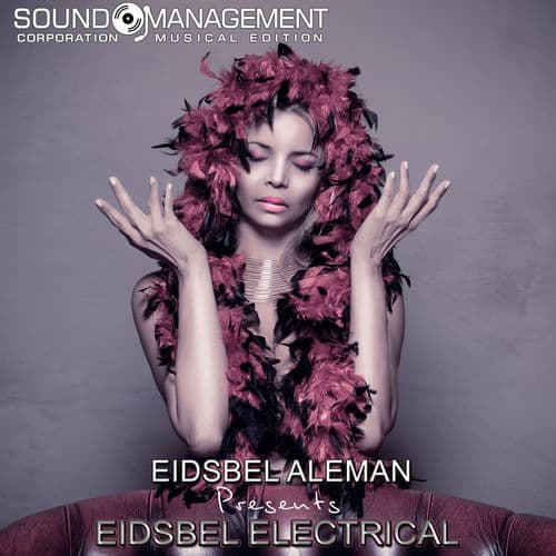 Eidsbel In Electrìcal