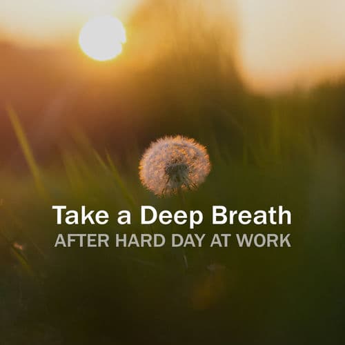 Take a Deep Breathe After Hard Day at Work and Relax with Classical Chopin Melodies