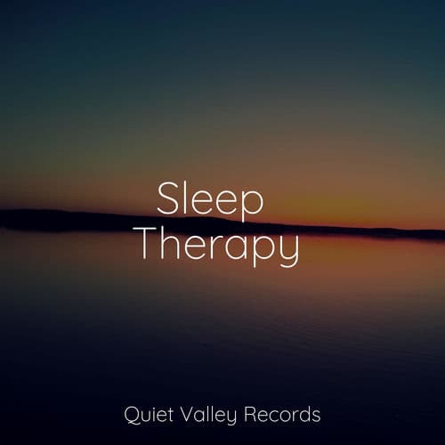 Sleep Therapy