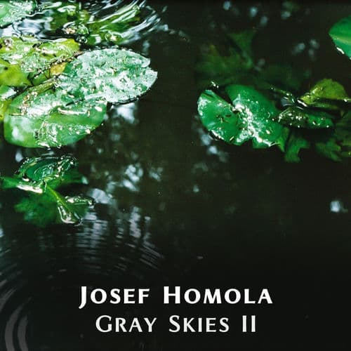 Gray Skies II