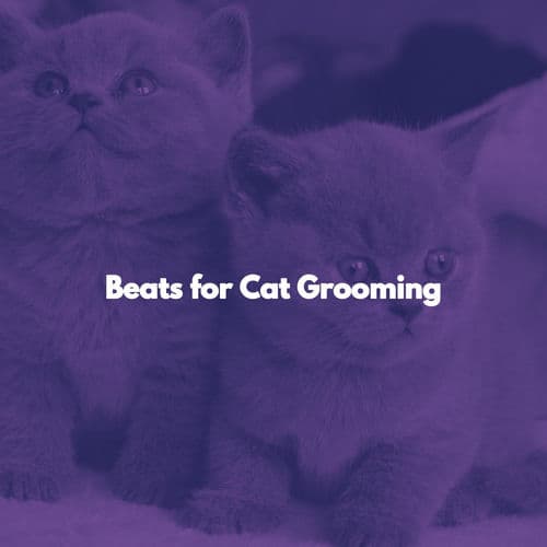 Beats for Cat Grooming