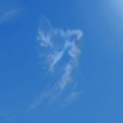 bleu nuit / tout va bien