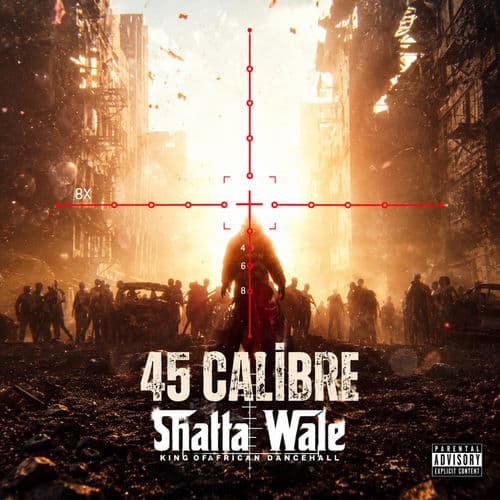 45 Calibre (feat. Shatta Wale)
