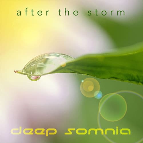After the Storm