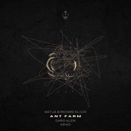 Ant Farm