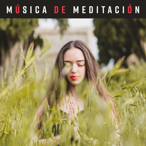 Resonancia Suave de Quietud mental