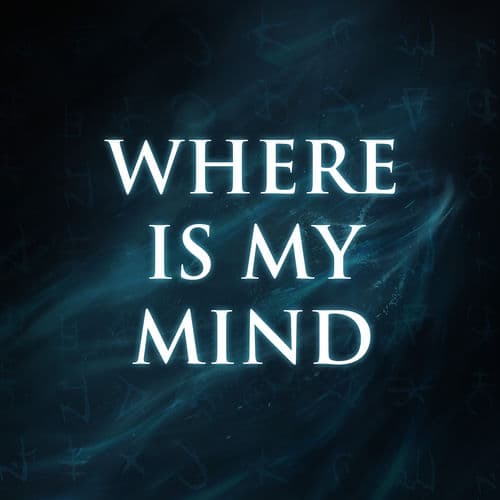 Where Is My Mind
