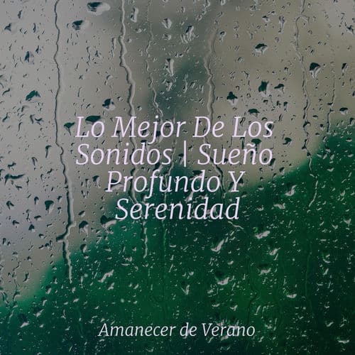 Lo Mejor De Los Sonidos | Sueño Profundo Y Serenidad