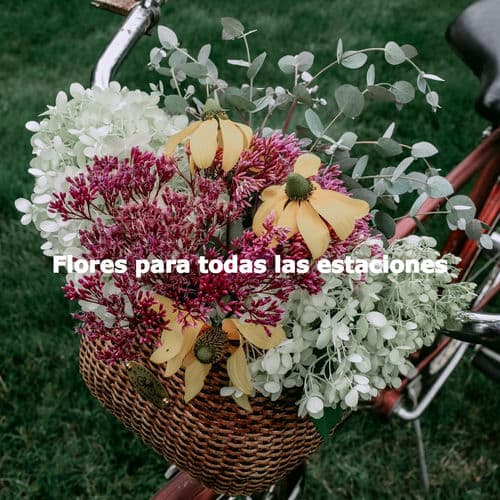 Flores para todas las estaciones
