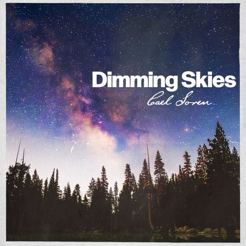 Dimming Skies