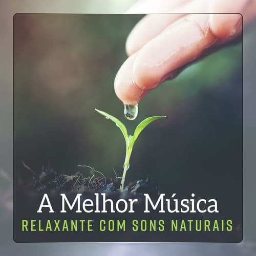 A Melhor Resonancia Suave Pacífica com Sons Naturais