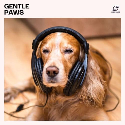 Gentle Paws: Calming Music for Dogs