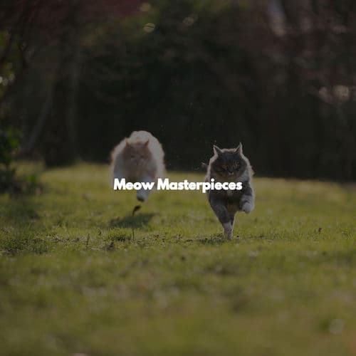 Meow Masterpieces