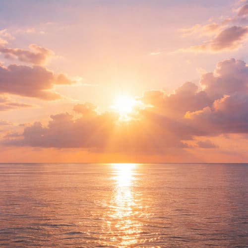 Morning Sunlight