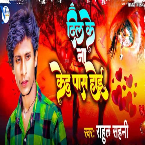 Dil Ke Na Kehu Pass Hoi