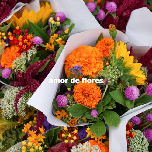 amor de flores