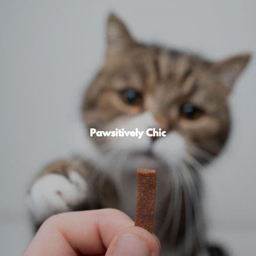 Pawsitively Chic