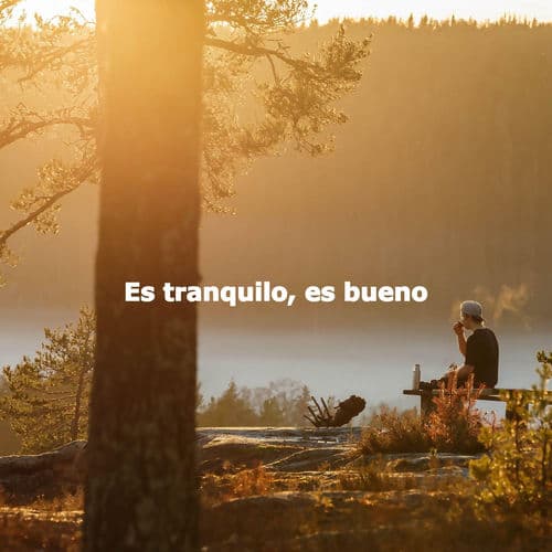 Es tranquilo, es bueno