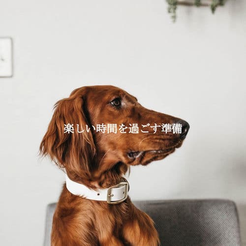 楽しい時間を過ごす準備