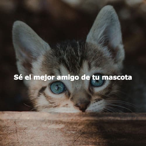 Sé el mejor amigo de tu mascota