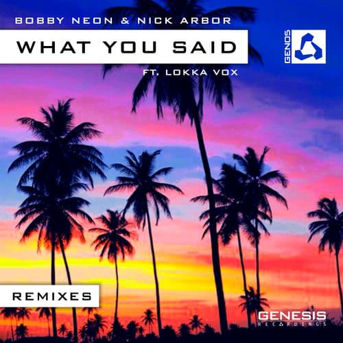 What You Said Remixes