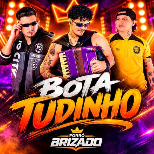 Bota Tudinho