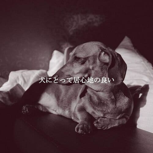 犬にとって居心地の良い