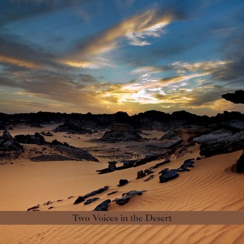 Two Voices In The Desert
