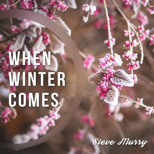 When Winter Comes