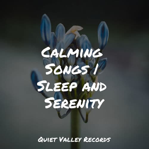 Calming Songs | Sleep and Serenity