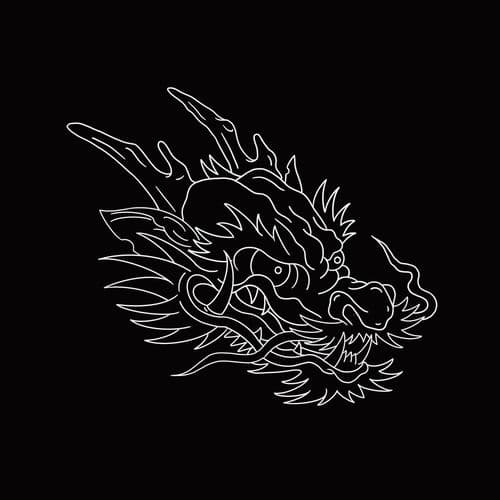 HERE COMES THE DRAGON!