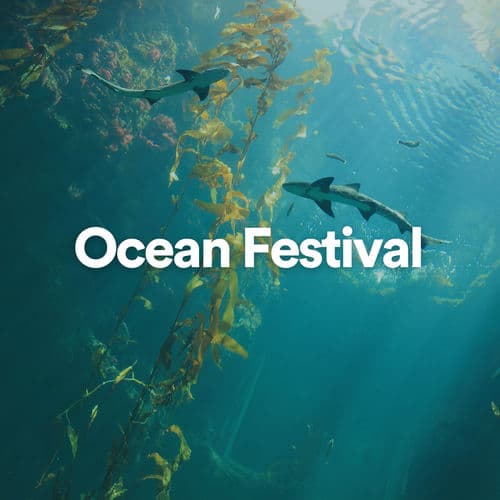 Ocean Festival