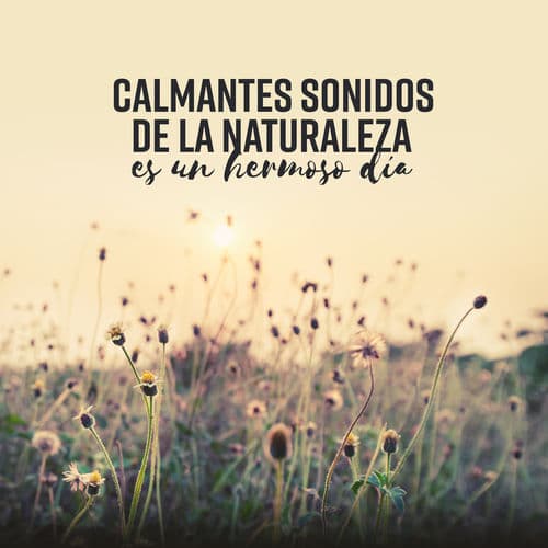 Poemas Auditivos de la Esencia