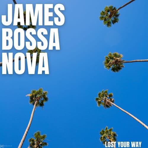 Lost Your Way
