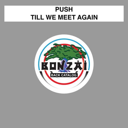 Till We Meet Again