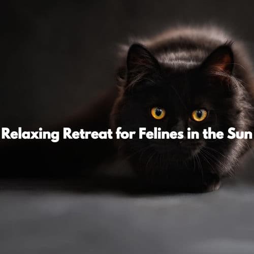 Relaxing Retreat for Felines in the Sun