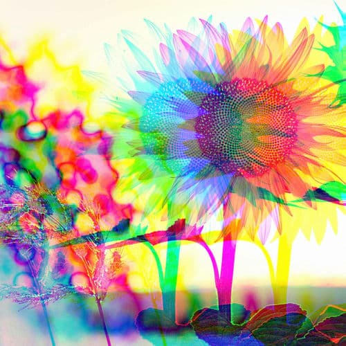 Music for Acoustic Flowing - Piano Bossa Nova Duo