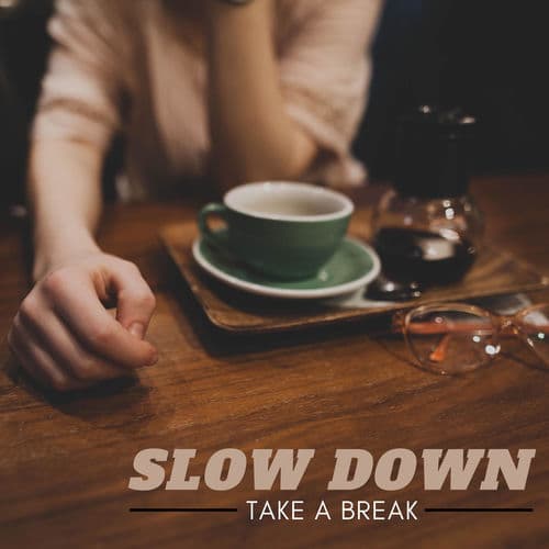 Slow Down ( Take a Break ) (Album)