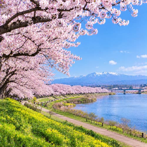 Spring Awakening (27)