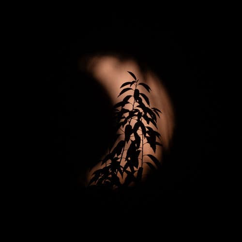 Improvisation in C# minor: Last Night I was searching for the Moon