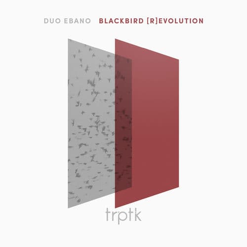 Blackbird (R)evolution