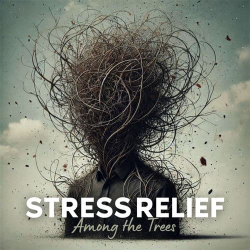Stress Relief Among the Trees