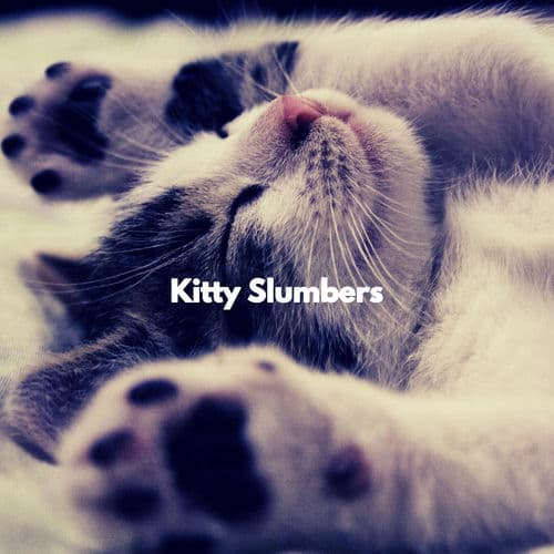 Kitty Slumbers