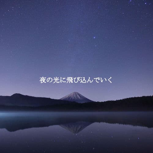 夜の光に飛び込んでいく