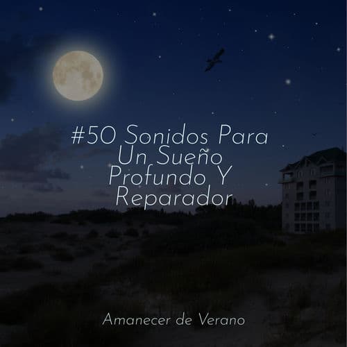 #50 Sonidos Para Un Sueño Profundo Y Reparador