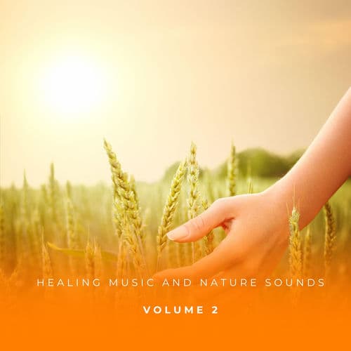 Healing Music And Nature Sounds Vol. 2